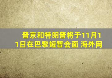 普京和特朗普将于11月11日在巴黎短暂会面 海外网